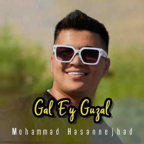 دانلود آهنگ محمد حسن نژاد به نام گل ای گوزل